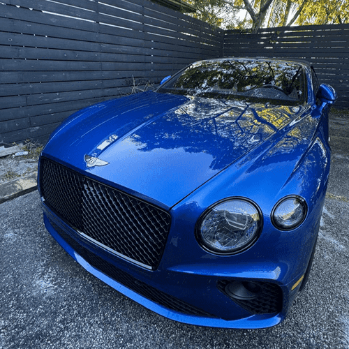 Paint Correction and Polishing